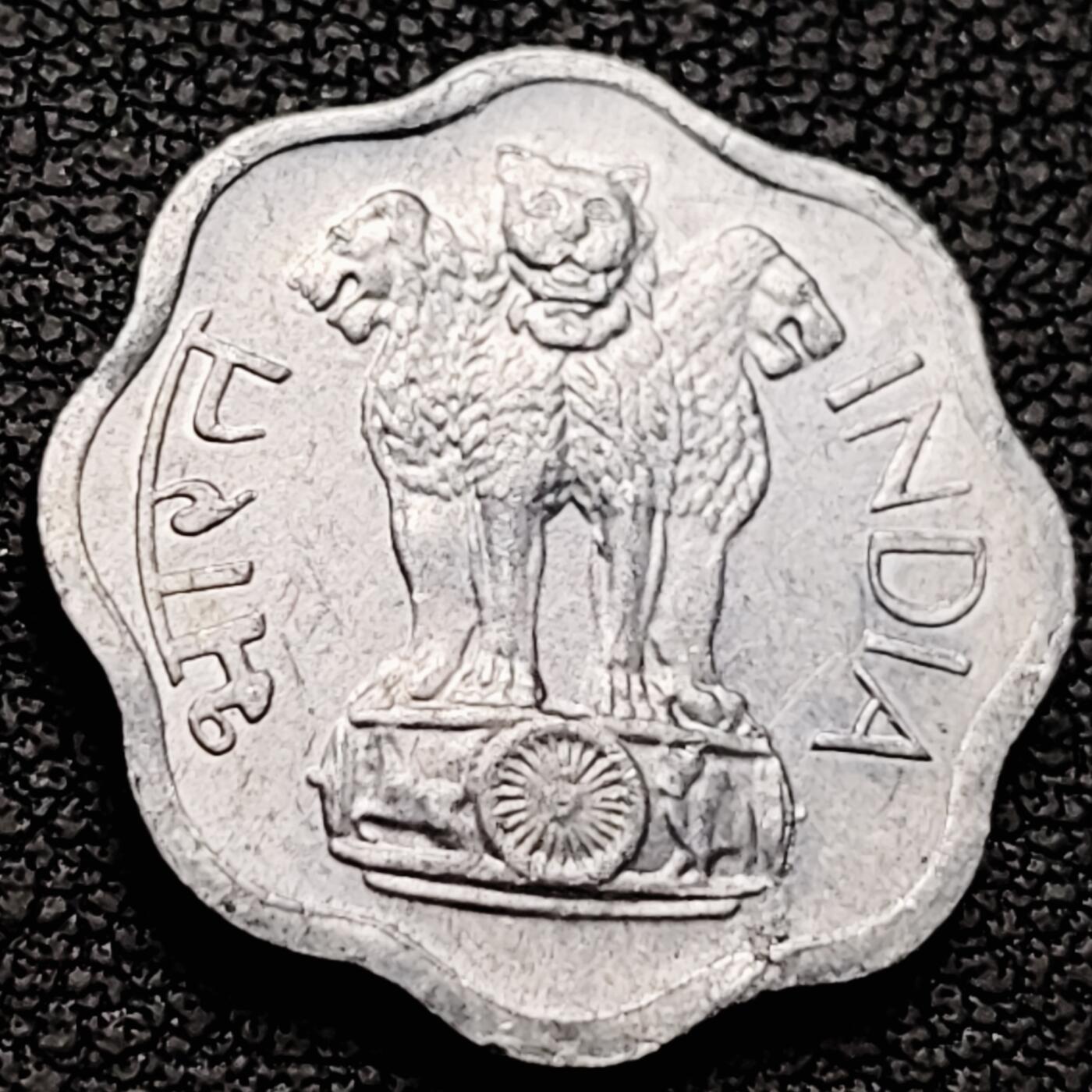 泉币菌-第213场-拍品多 请提前出价（工作最近较忙 发货不及时，望理解） 。