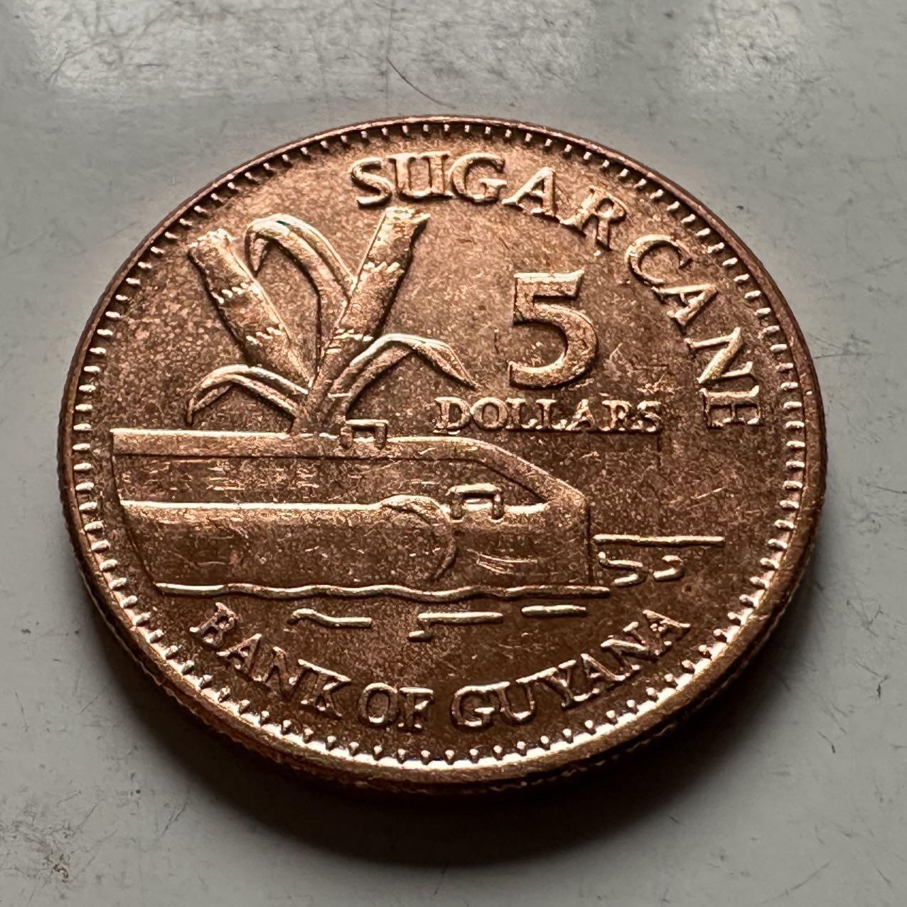 🌹外币初藏🌹🐯2026年第31场   每周二四六晚8️⃣点 接代拍 圭亚那2011年¥5