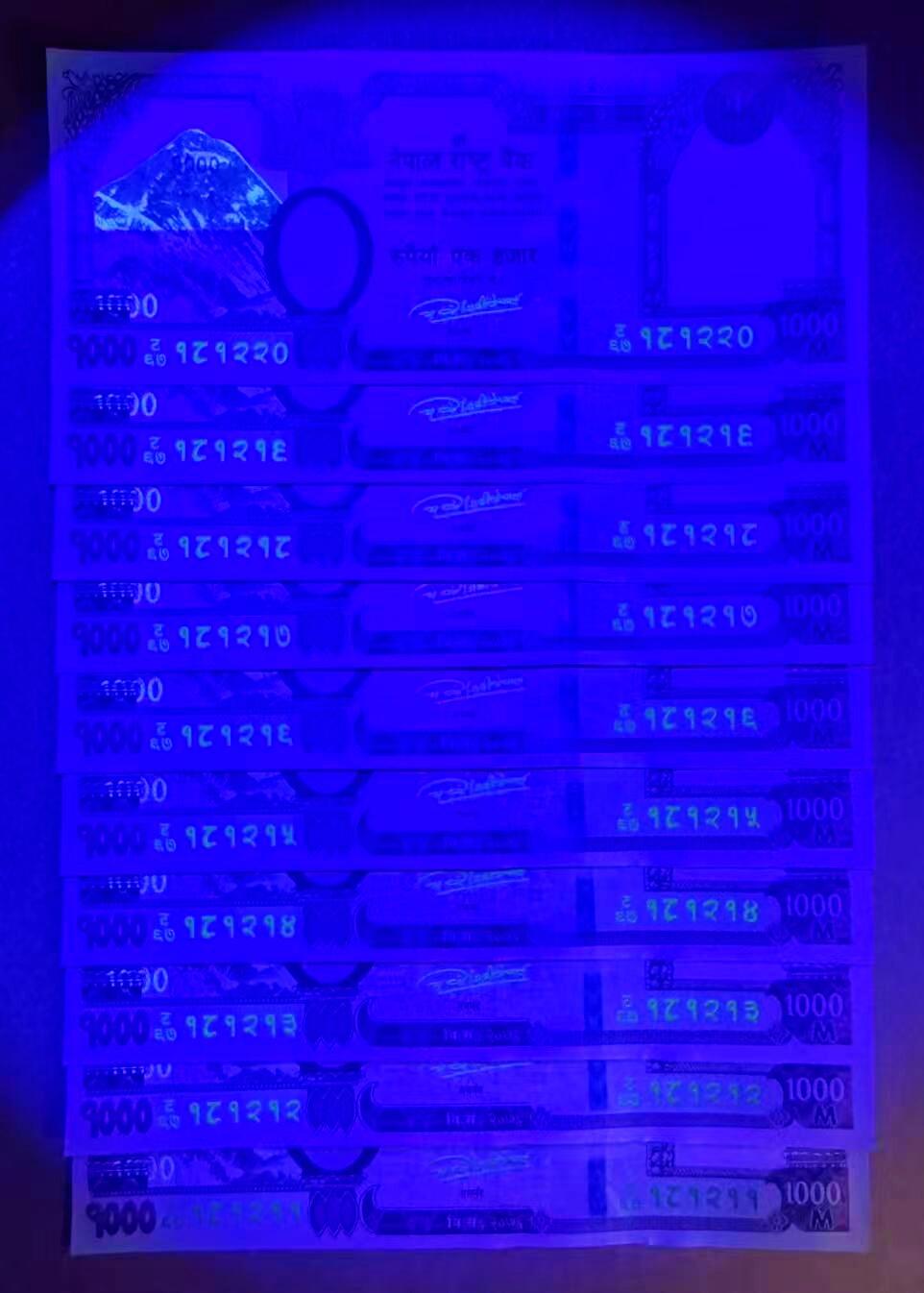 【Blue Auction】世界纸币精拍第796期——18级TOP拍卖/信誉/品质/专业/高效💫 【一组十连181211-181220】尼泊尔 1000卢比 大象 全新UNC