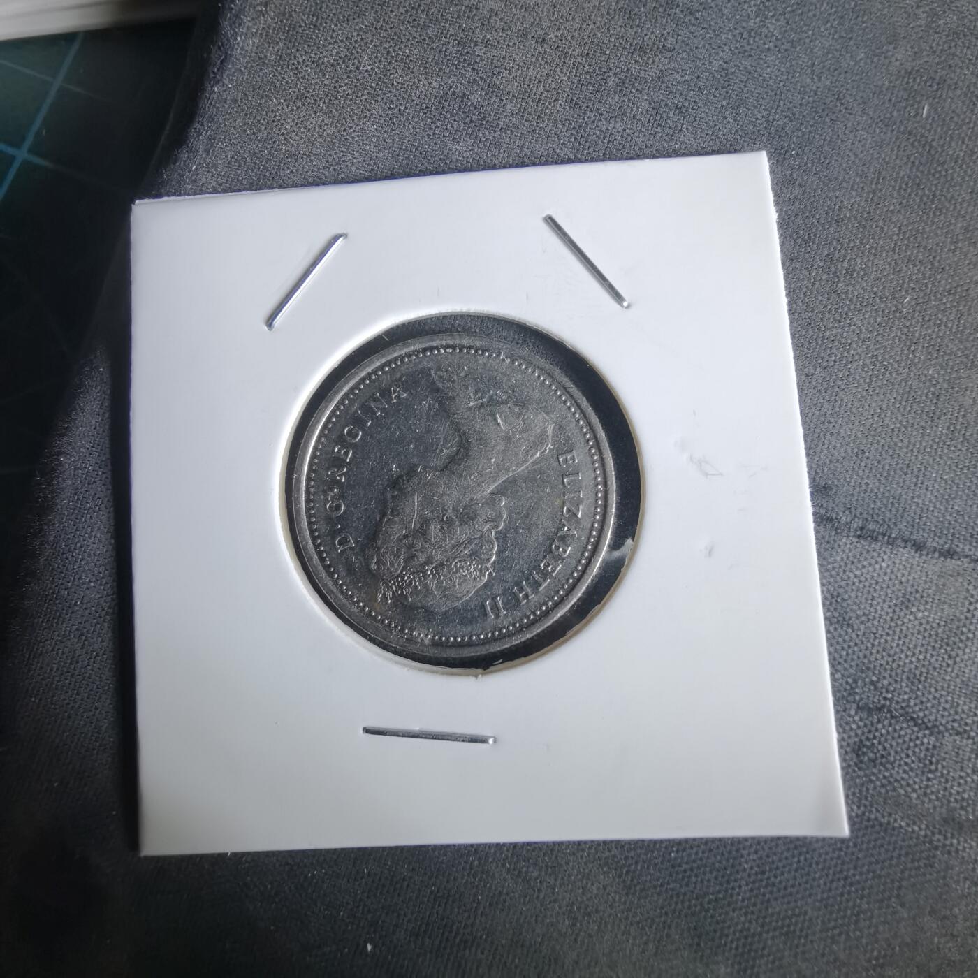 沼泽如烟--第1028场