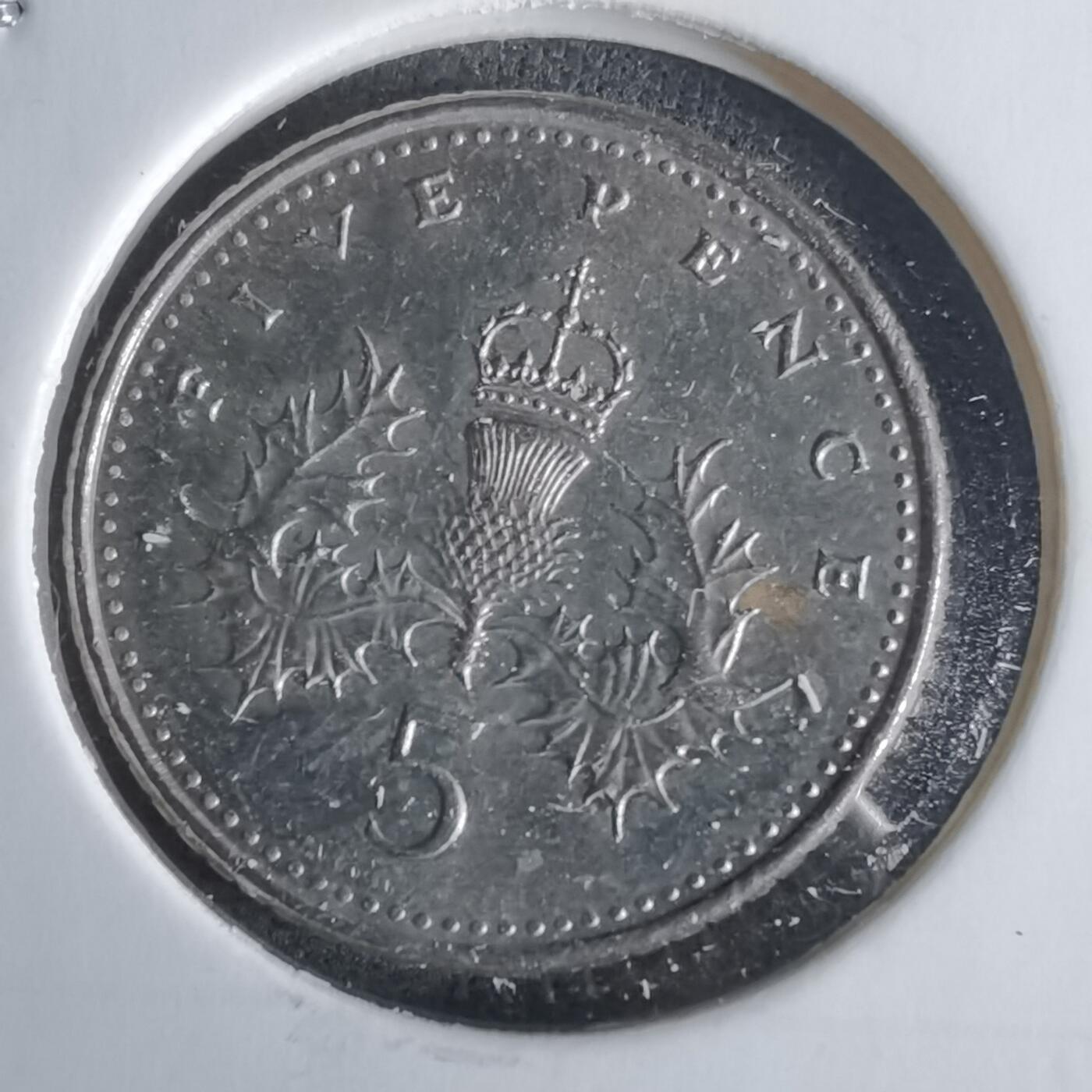 沼泽如烟--第1028场