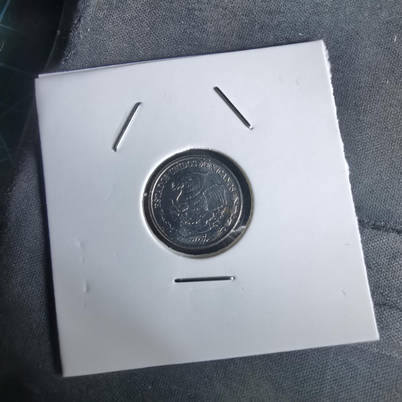 沼泽如烟--第1028场