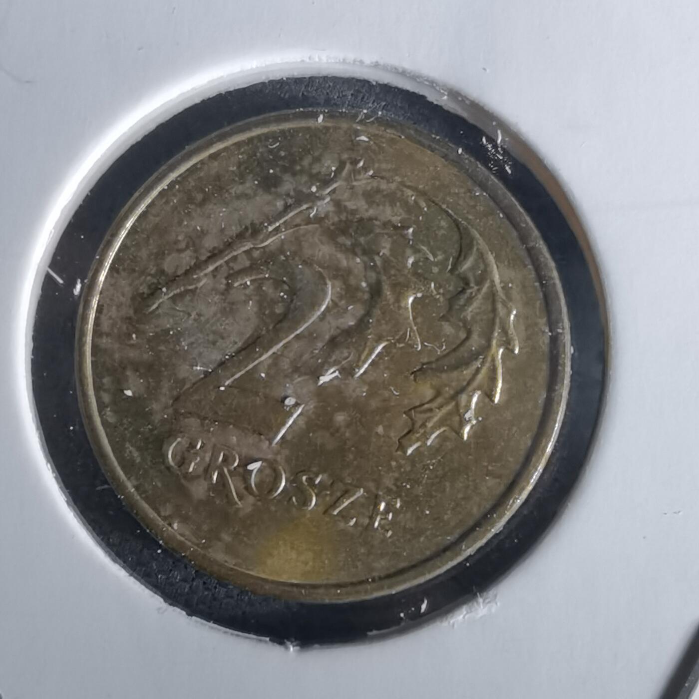 沼泽如烟--第1028场