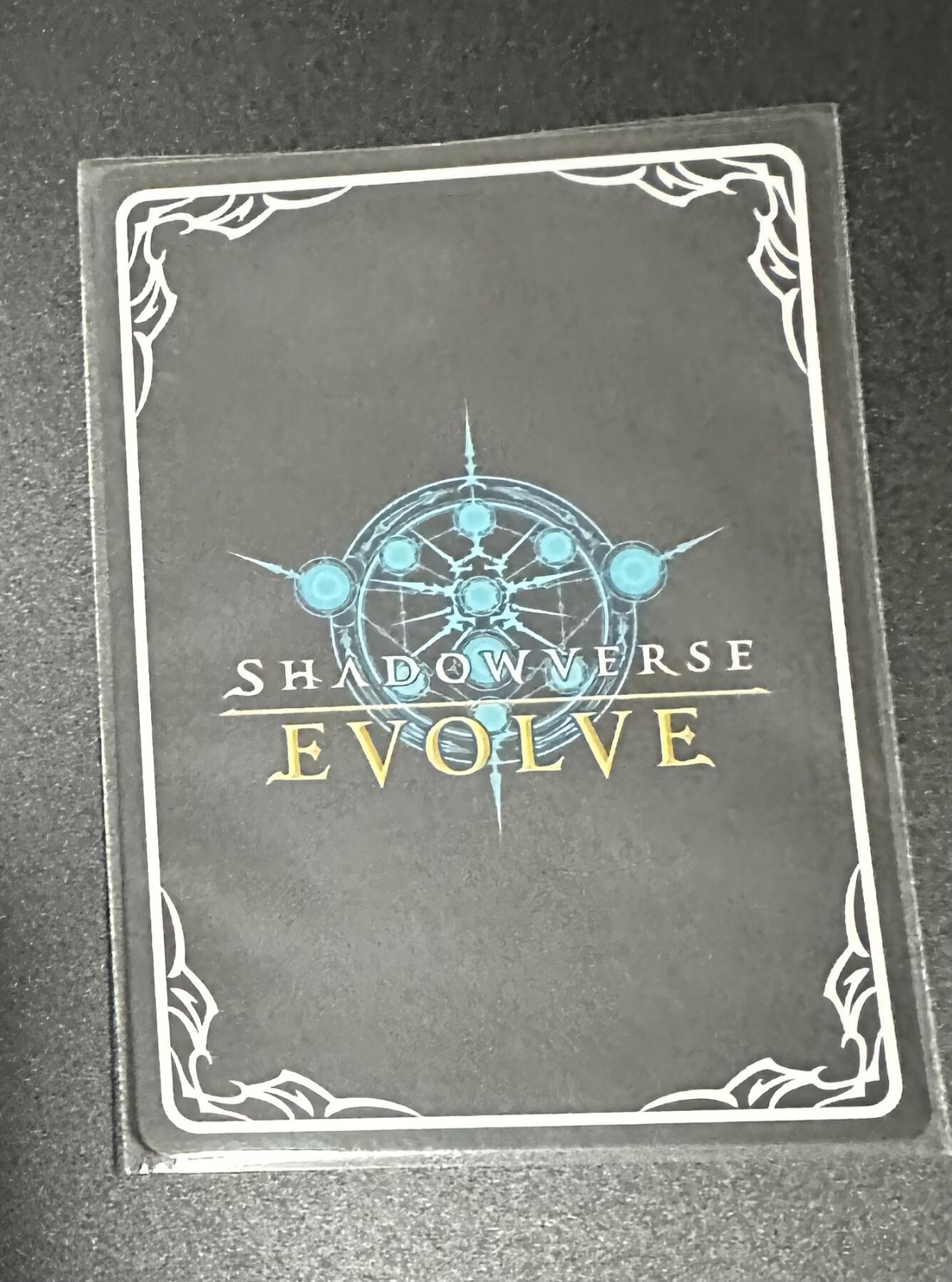 游戏王 影之诗 VG卡牌等 专场卡牌（无佣） 影之诗 魂 捕食 PR