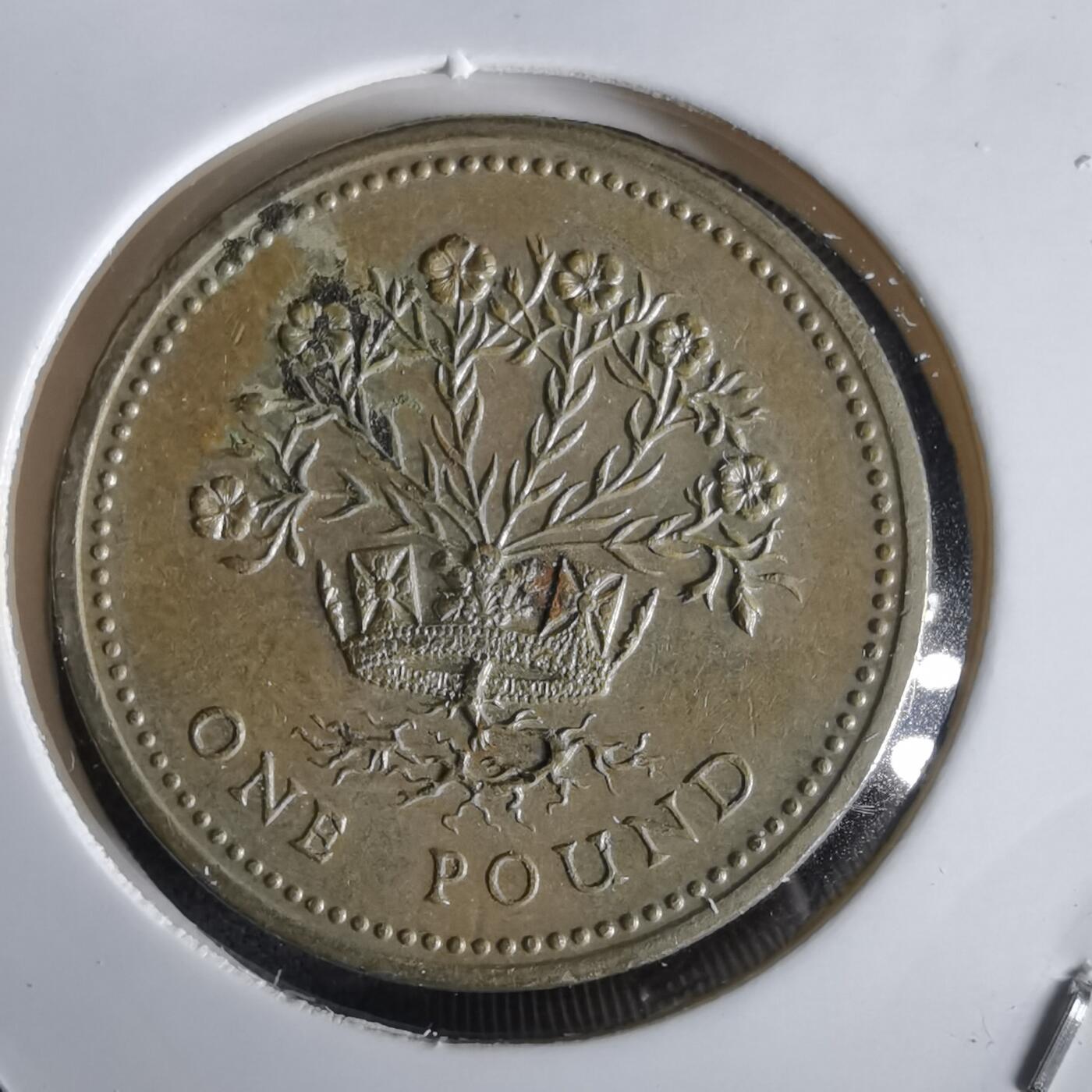 沼泽如烟--第1028场 英国1991年一磅