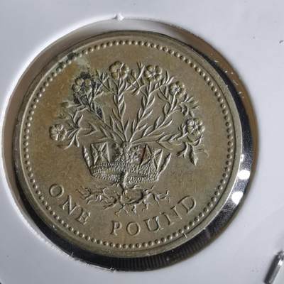 沼泽如烟--第1028场 - 英国1991年一磅