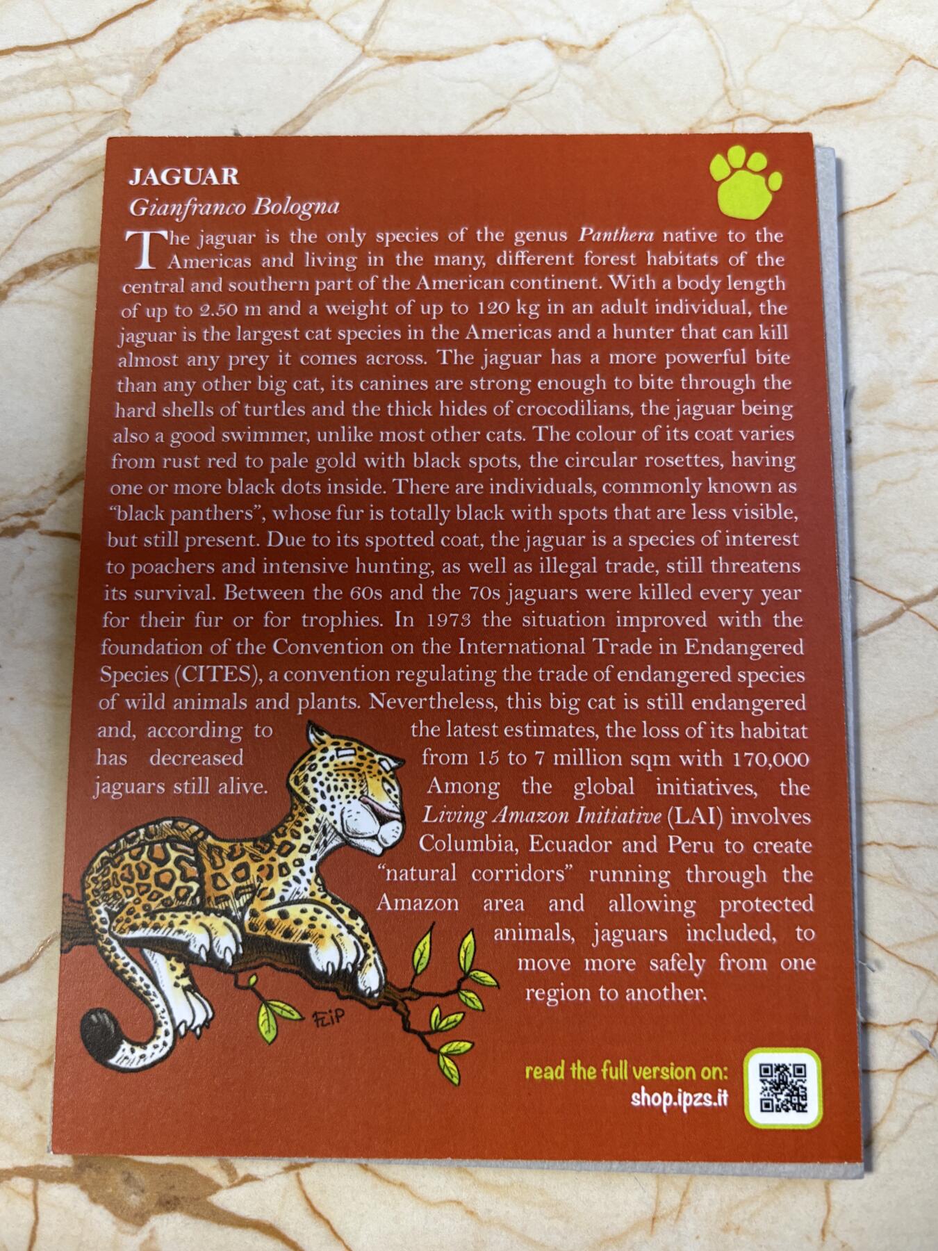 第194期拍卖 卡装意大利2022年动物园系列夜光捷豹精制纪念币