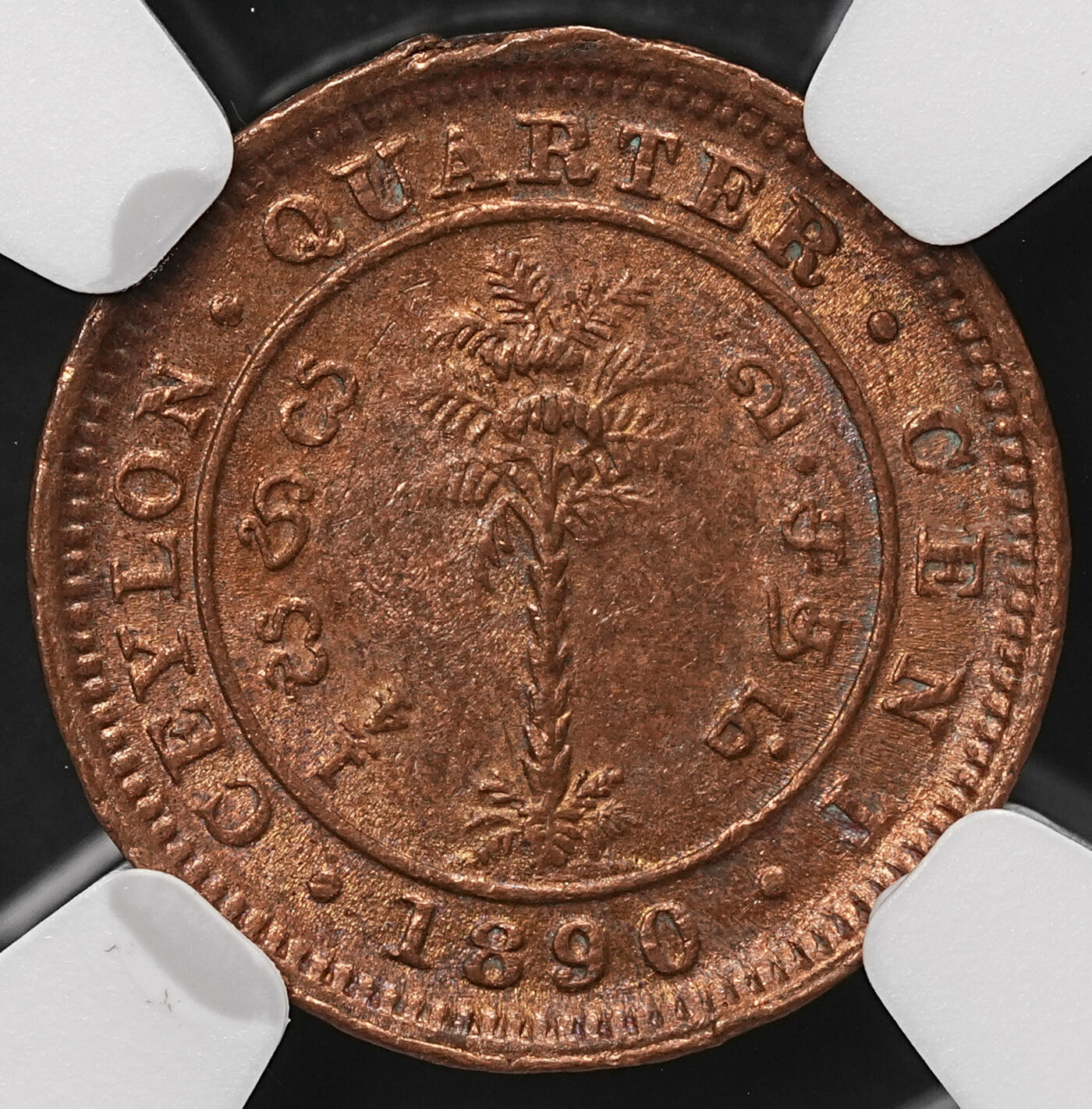 修遠堂世界钱币第108期