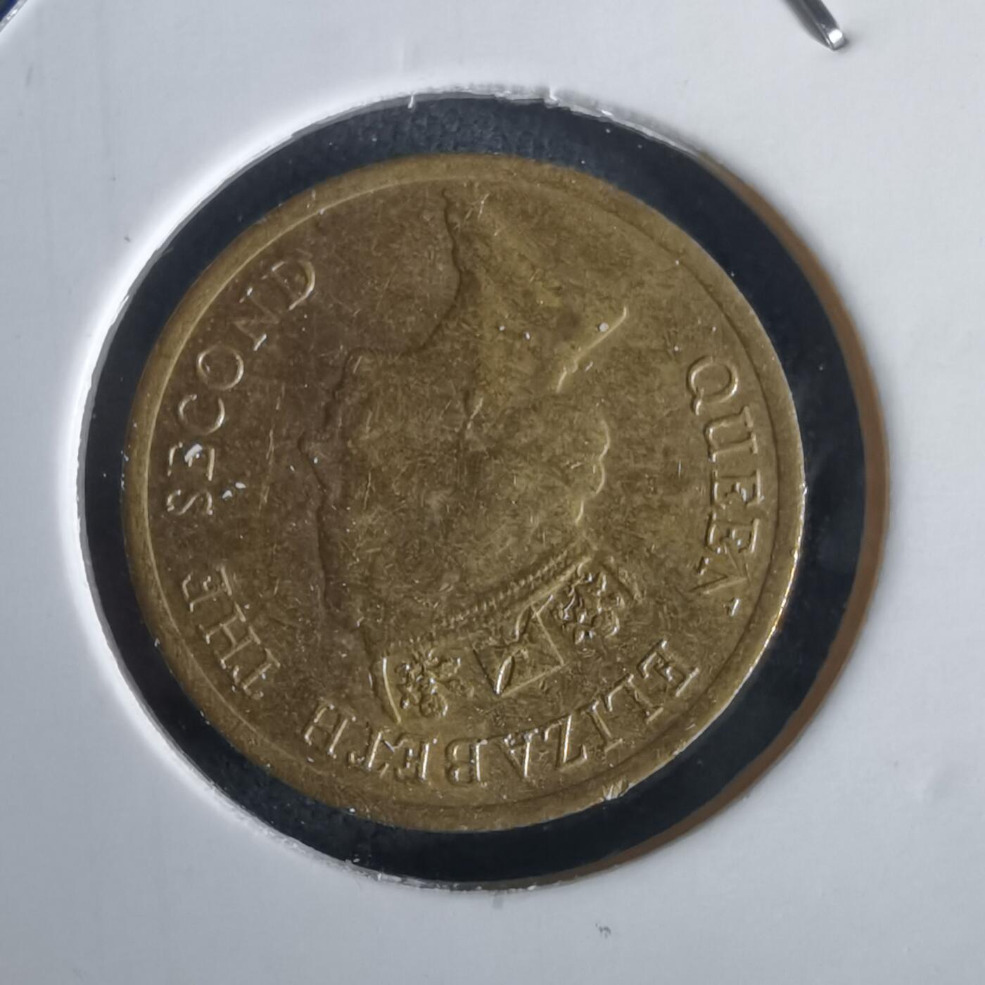 沼泽如烟--第1028场