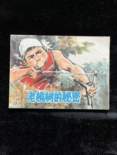 老槐树的＊密 - 老槐树的＊密