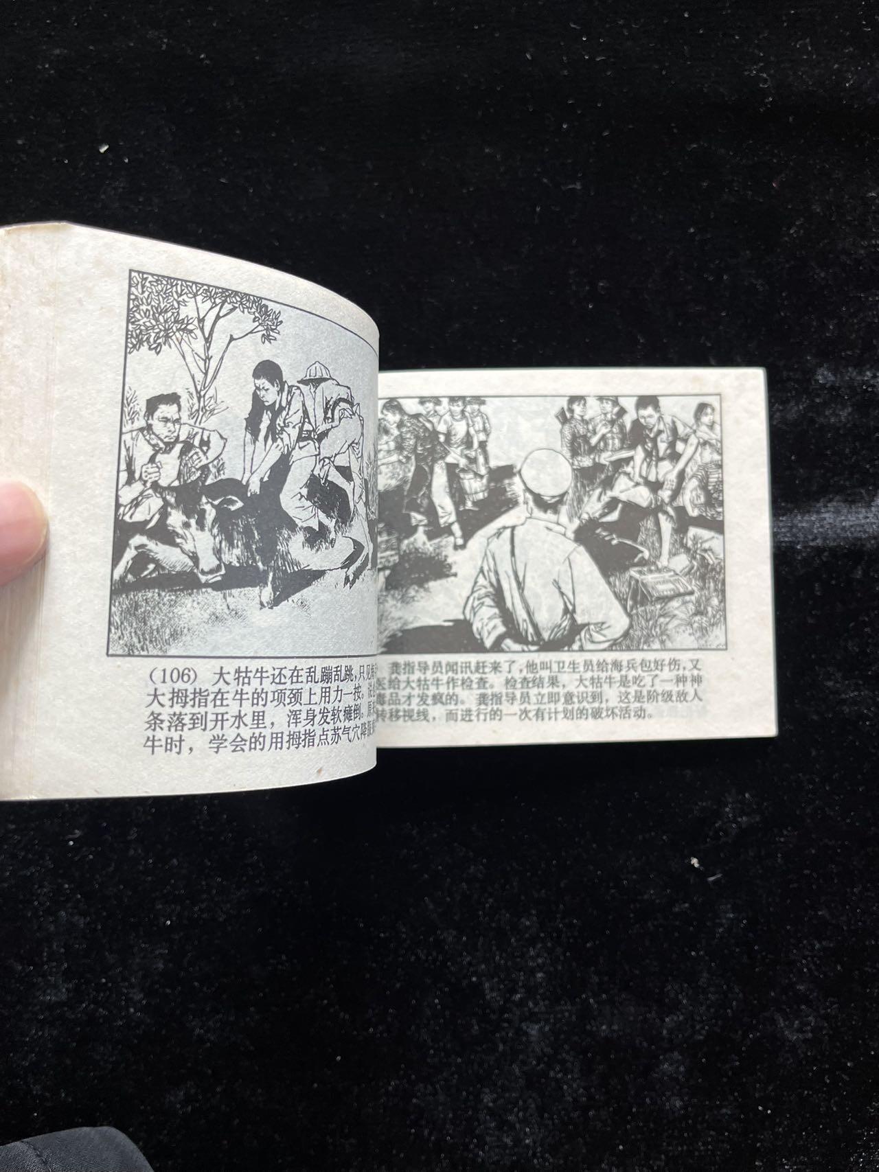 铁壁岛（红领巾题材）