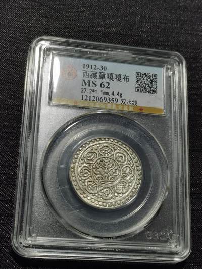 天下钱庄专场欢迎参拍 - 西藏章噶银币