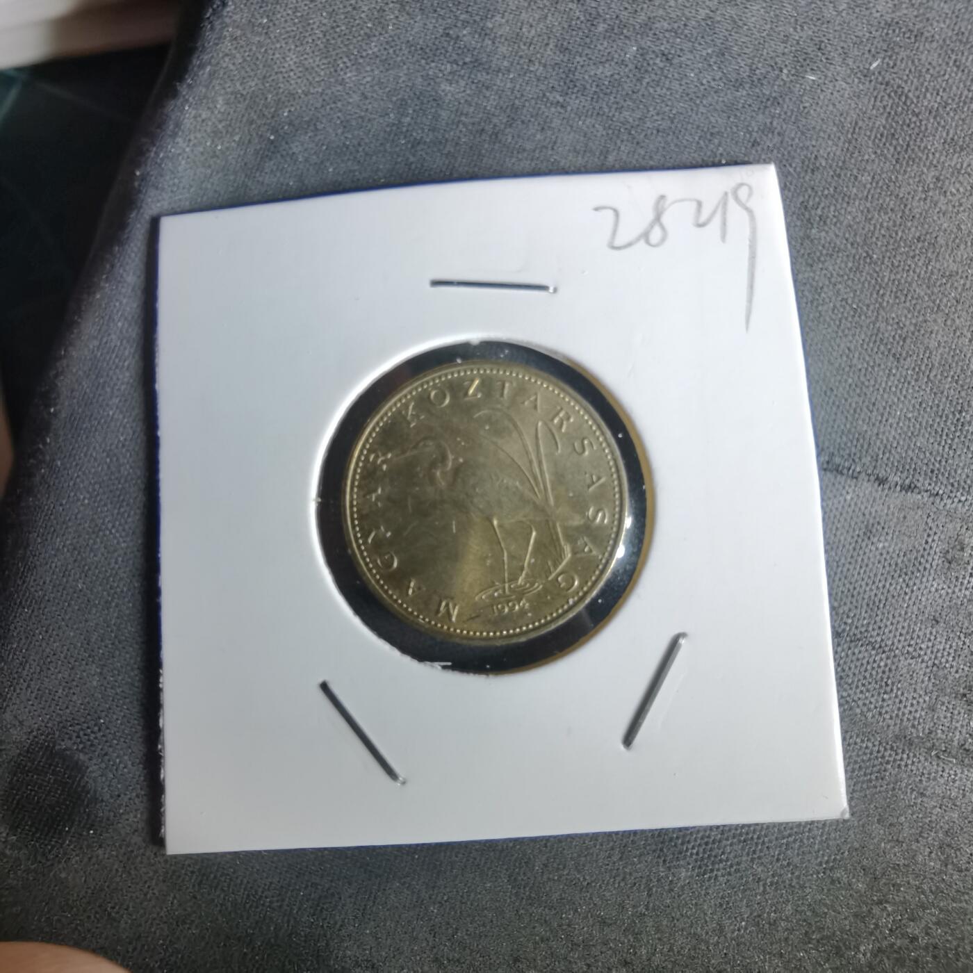 沼泽如烟--第1028场