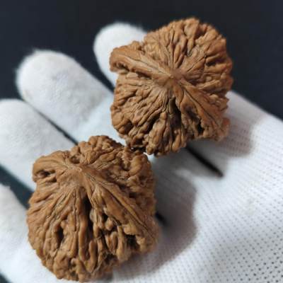 水龙纹核桃 - 水龙纹核桃