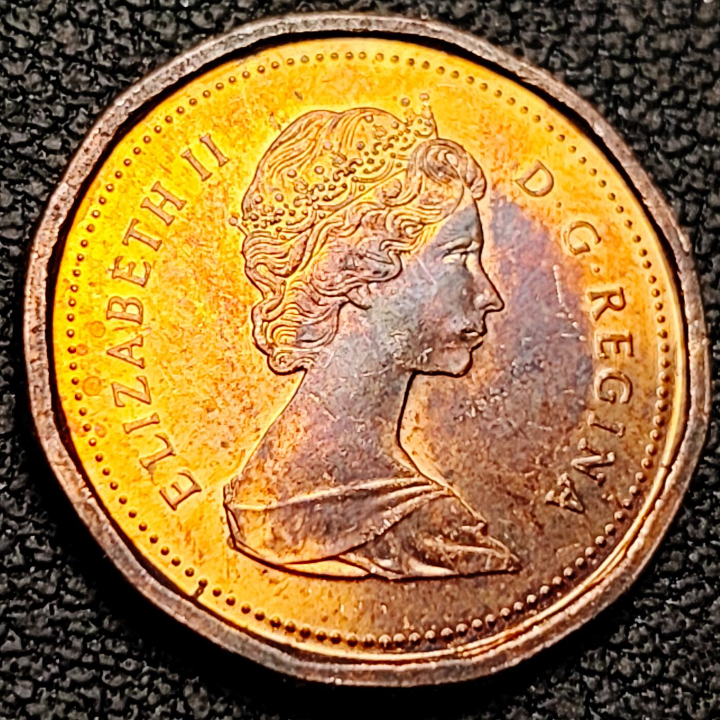 泉币菌-第213场-拍品多 请提前出价（工作最近较忙 发货不及时，望理解） 。