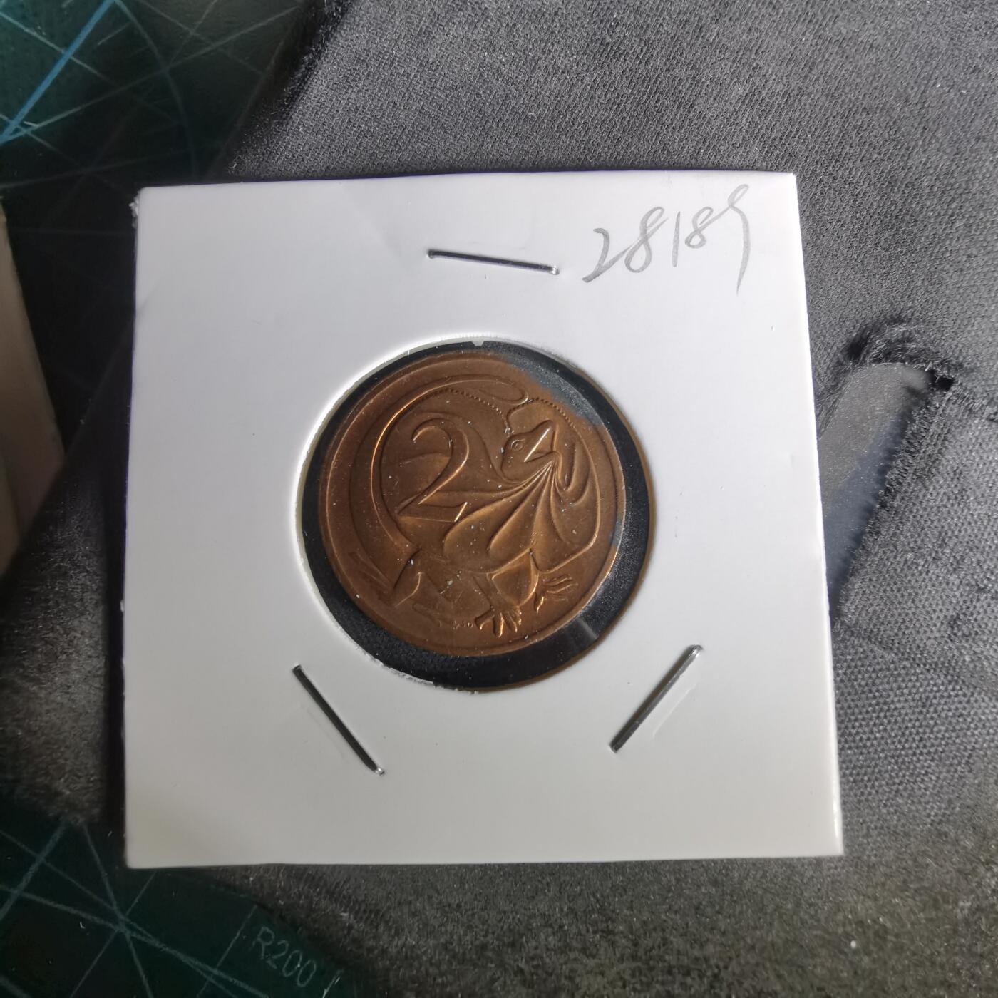 沼泽如烟--第1028场