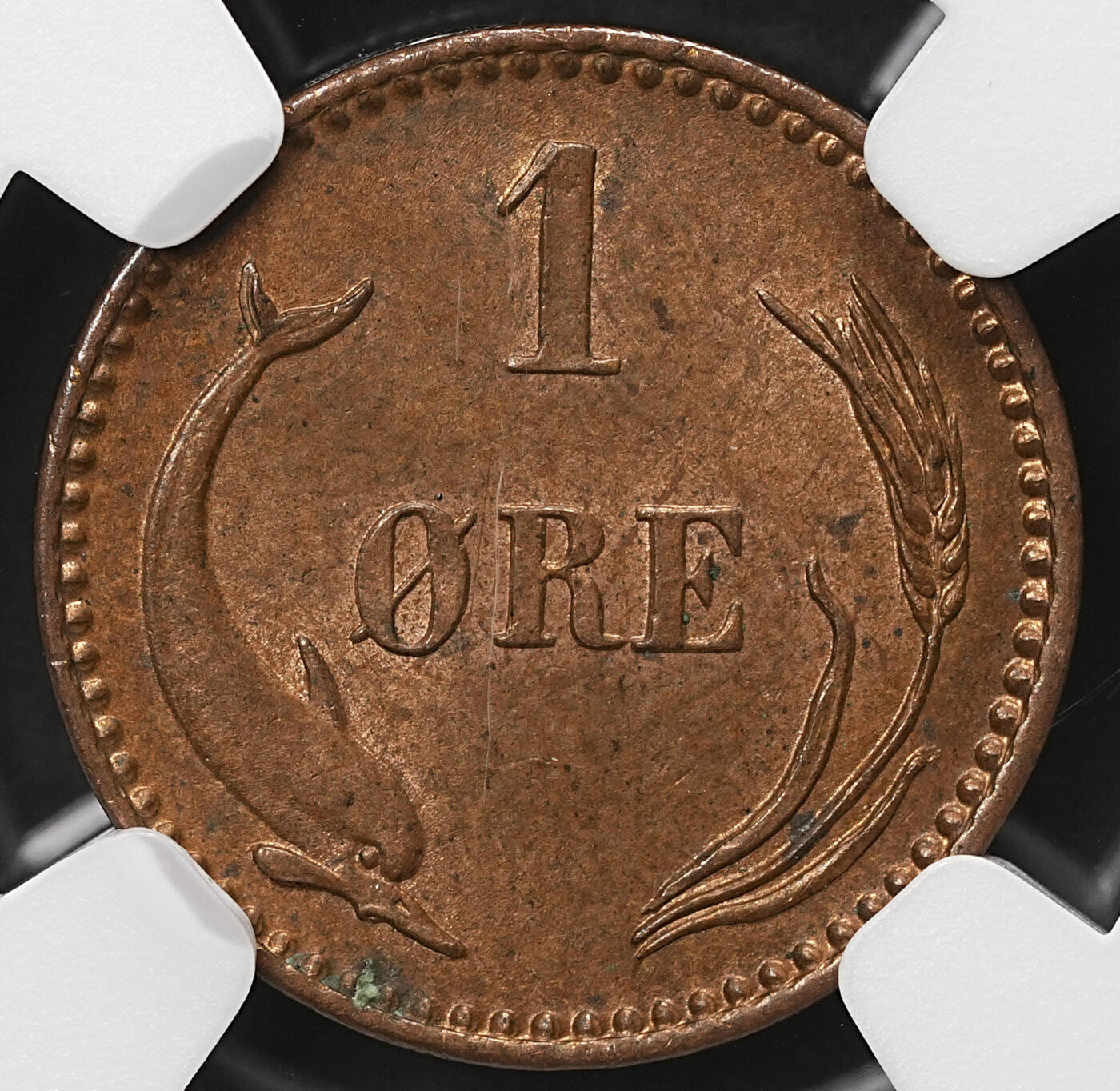 修遠堂世界钱币第108期 NGC MS64BN 1904年丹麦海豚1欧尔铜币