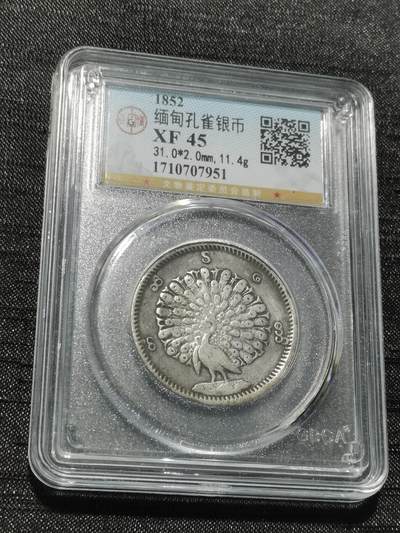 天下钱庄专场欢迎参拍 - 公博评级XF45缅甸孔雀银币