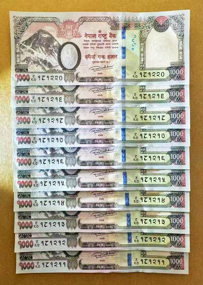 【Blue Auction】世界纸币精拍第796期——18级TOP拍卖/信誉/品质/专业/高效💫 - 【一组十连181211-181220】尼泊尔 1000卢比 大象 全新UNC