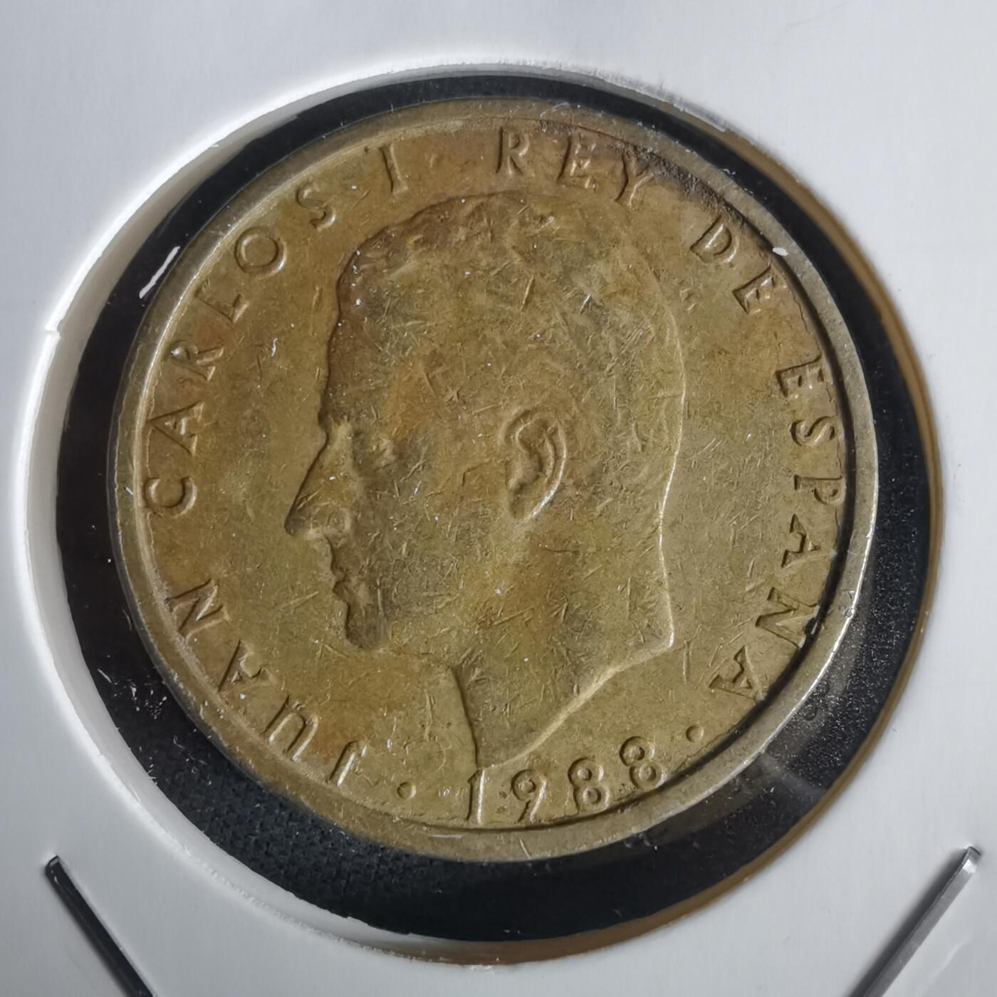 沼泽如烟--第1028场