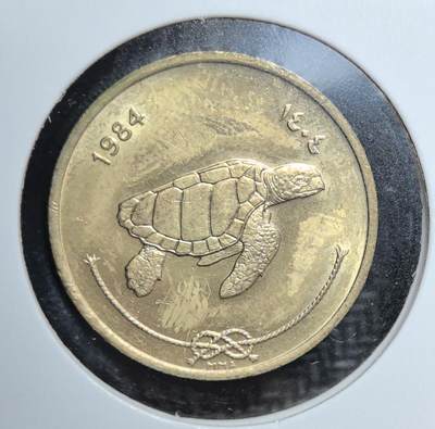 外国优质老铜币银币苏联纪念章，每周六晚九点倒数截拍，满百包邮可寄存，持续收拍 - 马尔代夫1984年50 拉雷，正面海龟图案象征海岛生态与海洋文化，双语纪年融合公历与伊斯兰历，黄铜材质温润厚重，是马尔代夫钱币系列中极具辨识度的标志性品种，也是南亚海岛收藏的热门选择。