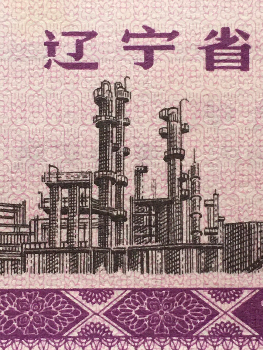         1981年辽宁省地方粮票贰拾市斤全新品相未流通1枚原版真品如图供应票证旧藏文玩艺术收藏