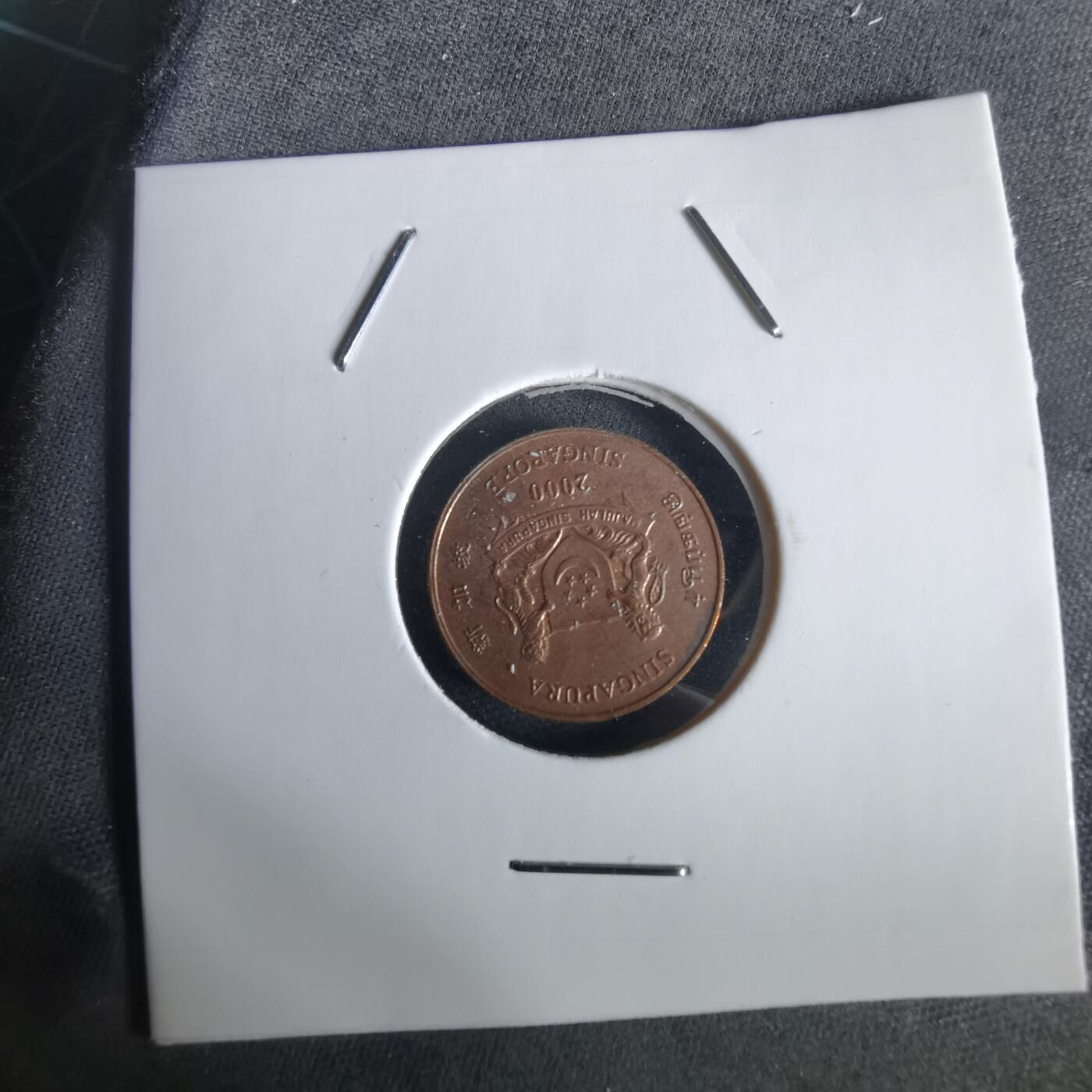 沼泽如烟--第1028场