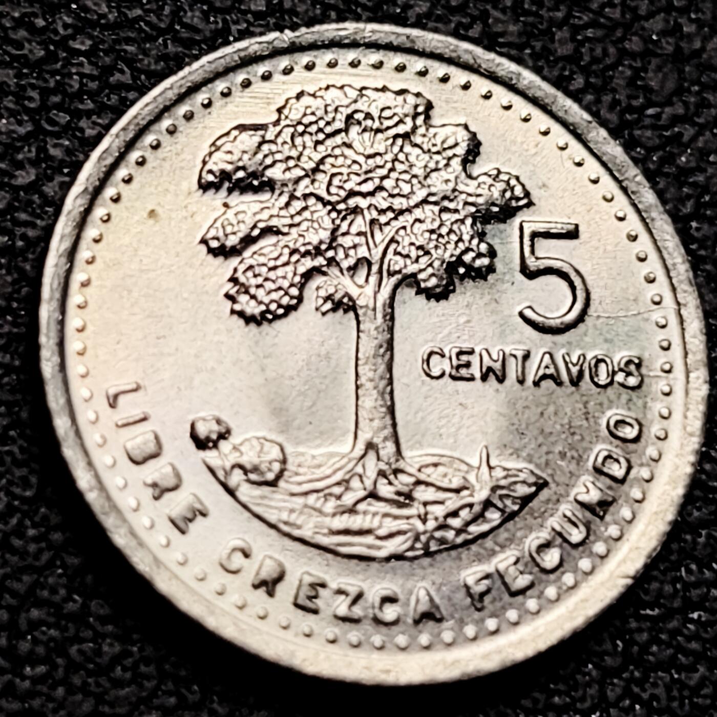 泉币菌-第213场-拍品多 请提前出价（工作最近较忙 发货不及时，望理解） 。