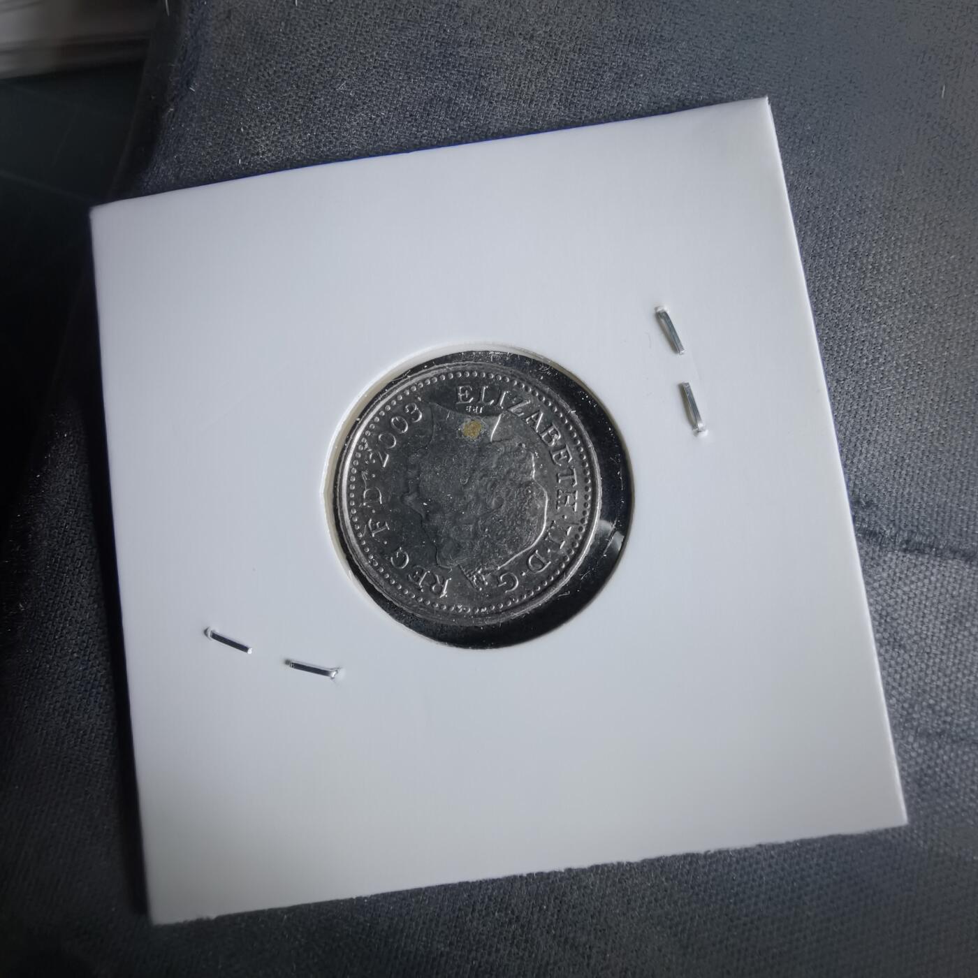 沼泽如烟--第1028场