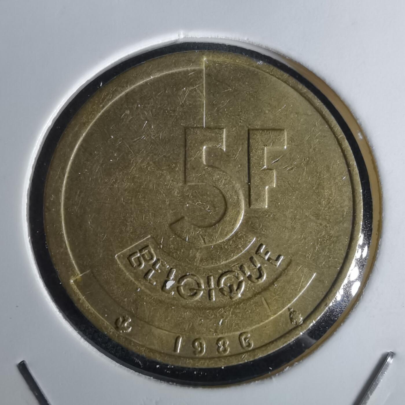 沼泽如烟--第1028场