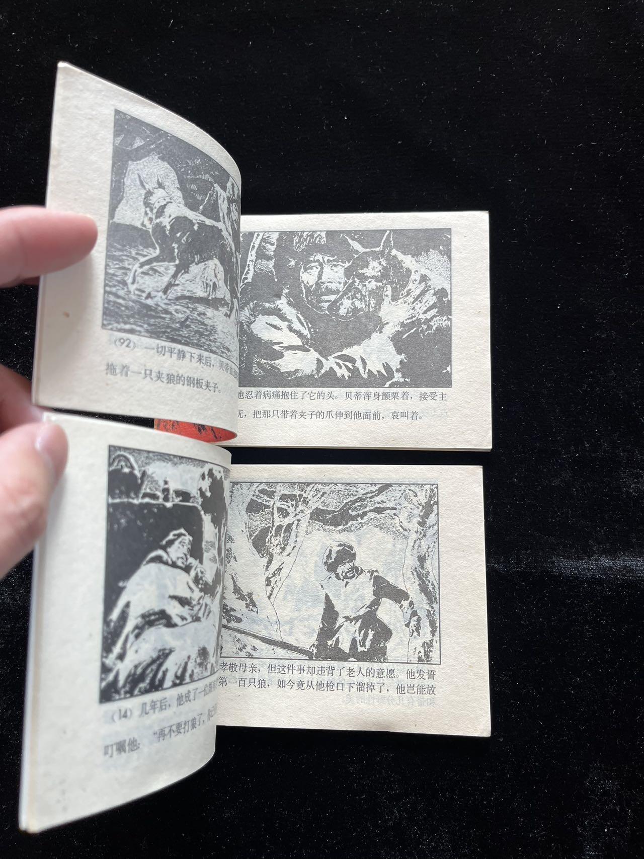 野狼谷（上下册）