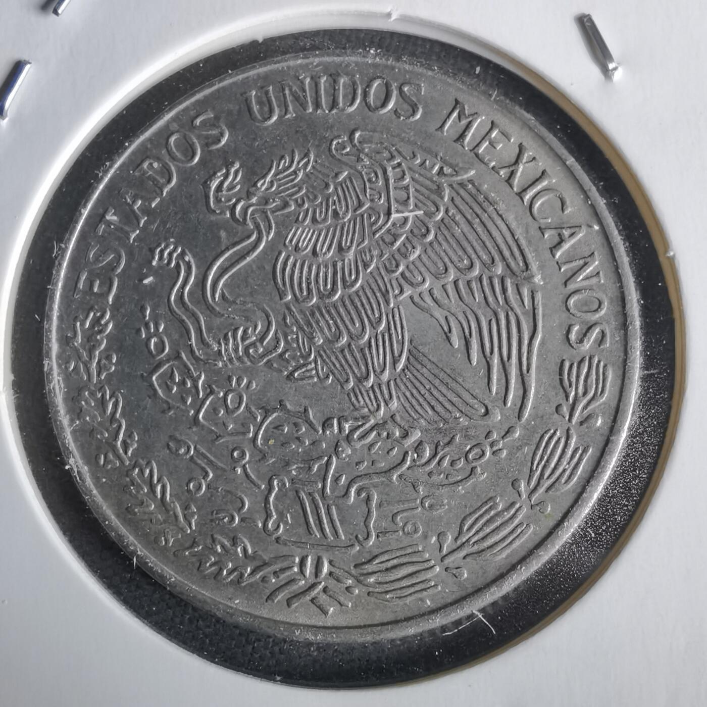 沼泽如烟--第1028场