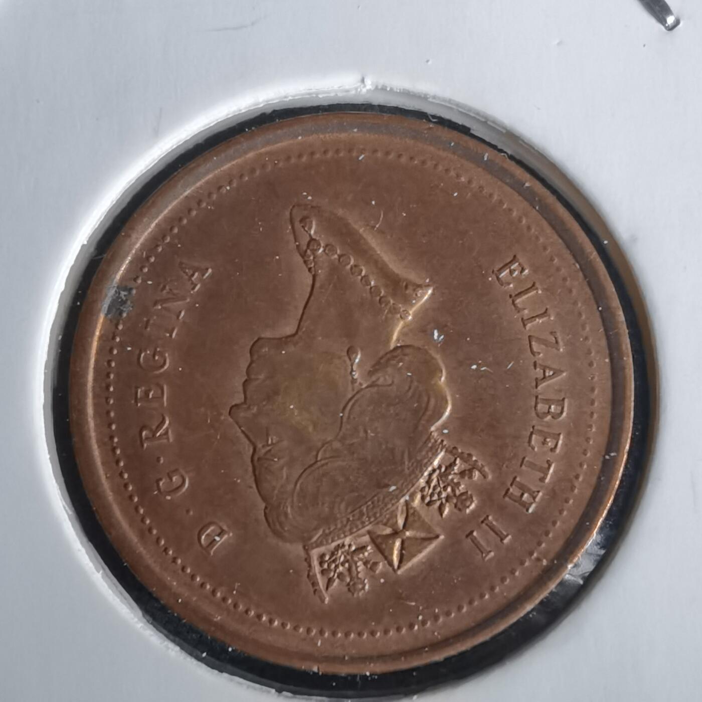 沼泽如烟--第1028场