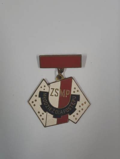 韵星假日军品类拍卖第47期 -- Rimey Holidays Militaria Auction 47 - 波兰人民共和国社会主义青年团优秀成员证章