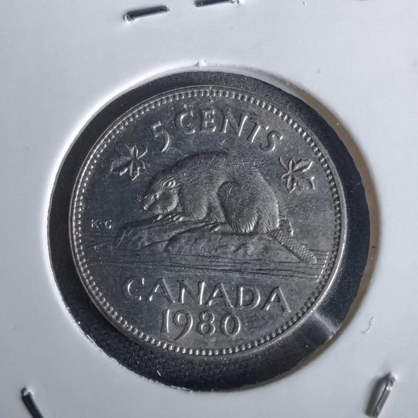 沼泽如烟--第1028场