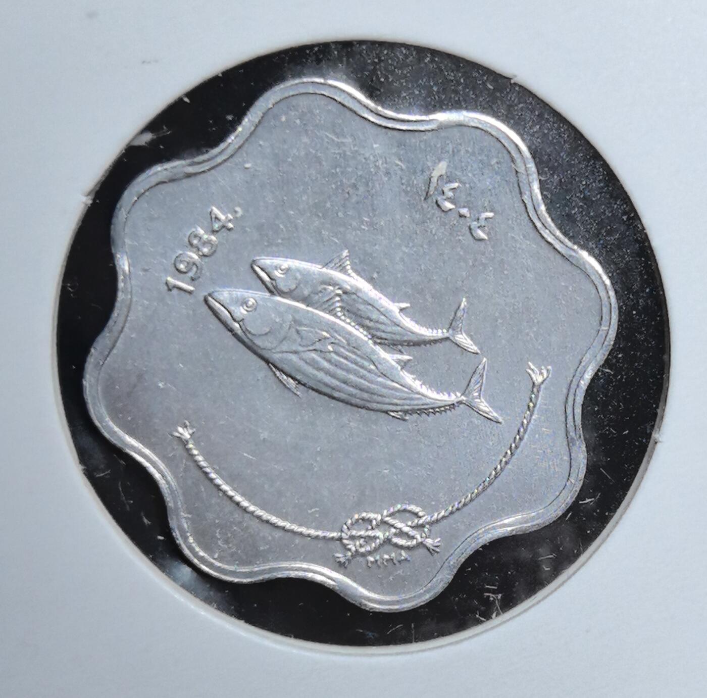 外国优质老铜币银币苏联纪念章，每周六晚九点倒数截拍，满百包邮可寄存，持续收拍 马尔代夫1984年5拉雷，波浪形边缘与金枪鱼图案凸显海洋岛国特色，双语纪年融合公历与伊斯兰历法，生动展现马尔代夫渔业文化，是南亚海岛钱币收藏的清新趣味品种。