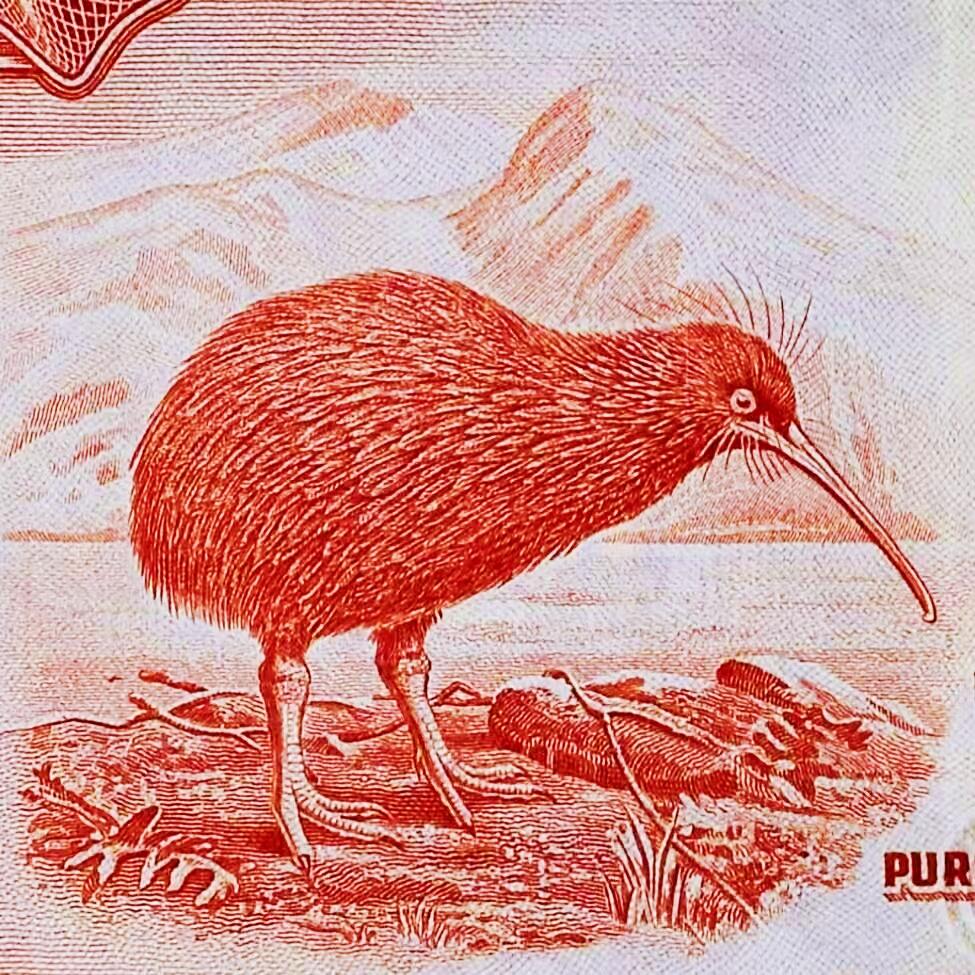 【Blue Auction】世界纸币精拍第796期——18级TOP拍卖/信誉/品质/专业/高效💫  新西兰储备银行 1934年10先令 PMG53 该行发行的第一张10先令纸币 Tawhiao国王人像雕刻精美 国鸟几维鸟 背面是坐落在米尔福德峡湾的绝美山峰米特峰 （该面值在同期发行的1镑、5镑、50镑中珍稀度排名第二，仅次于50镑 票面白净难得好状态）