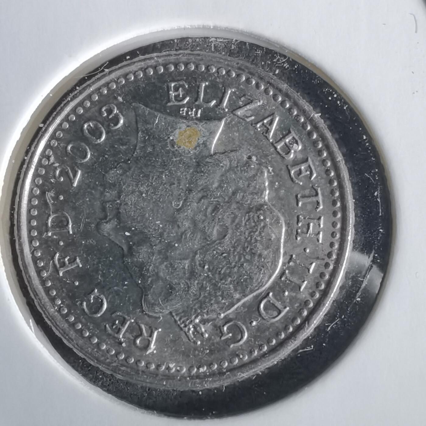 沼泽如烟--第1028场