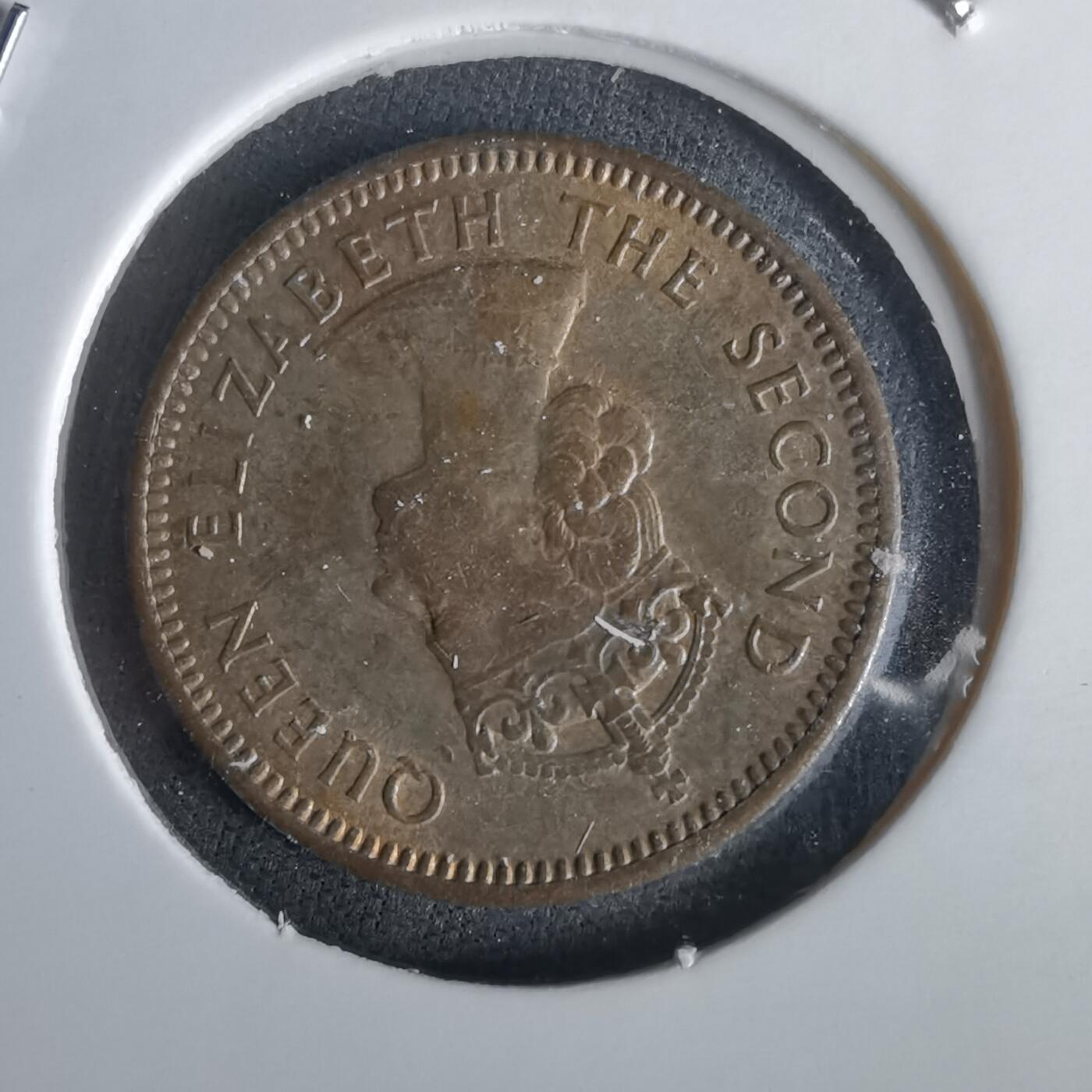 沼泽如烟--第1028场