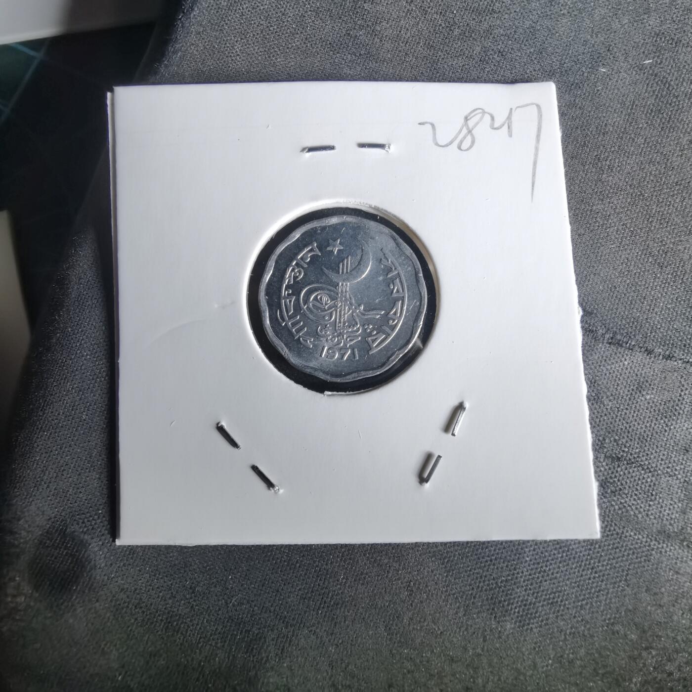 沼泽如烟--第1028场