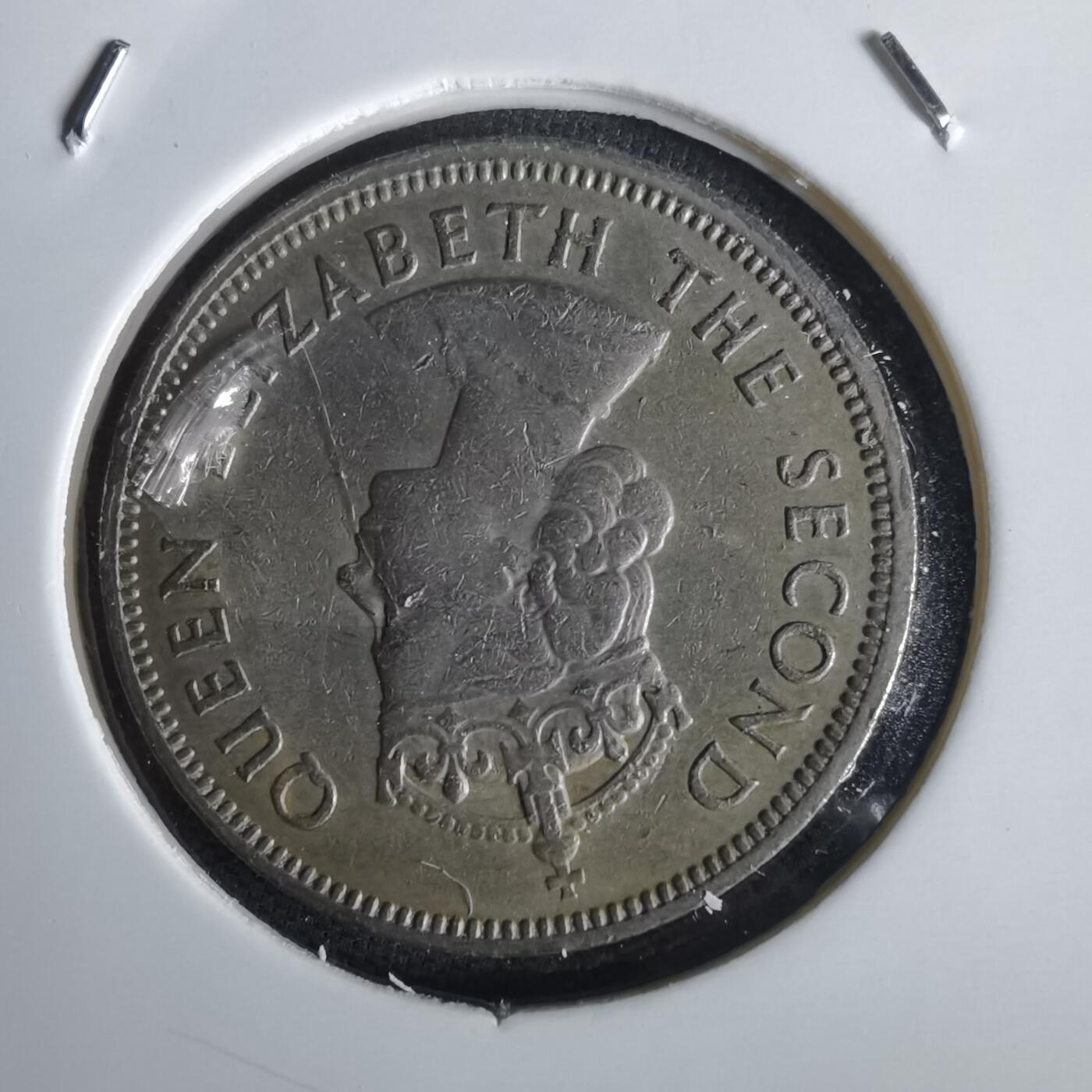 沼泽如烟--第1028场