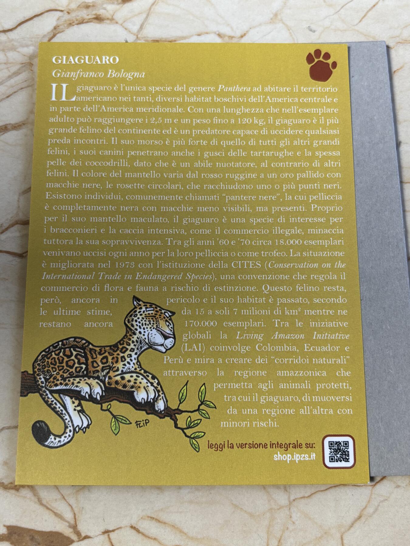 第194期拍卖 卡装意大利2022年动物园系列夜光捷豹精制纪念币