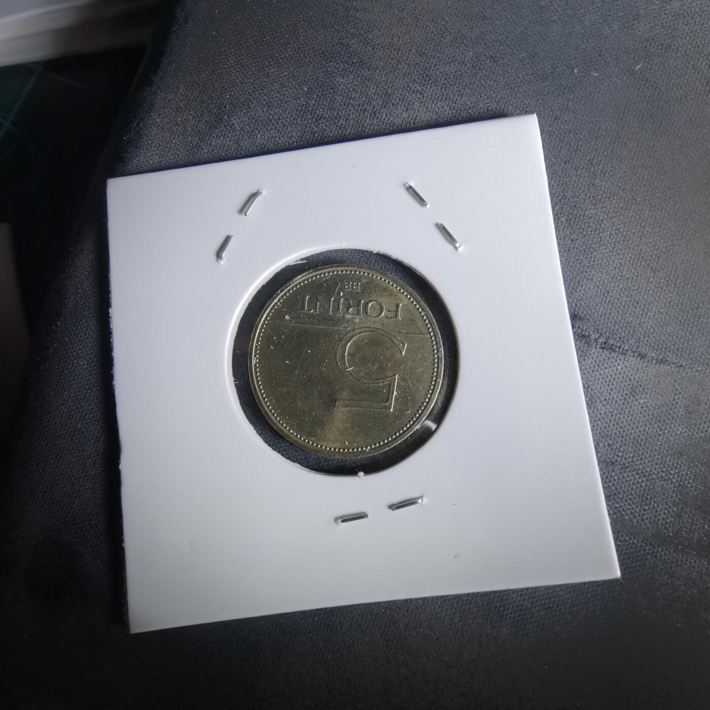 沼泽如烟--第1028场