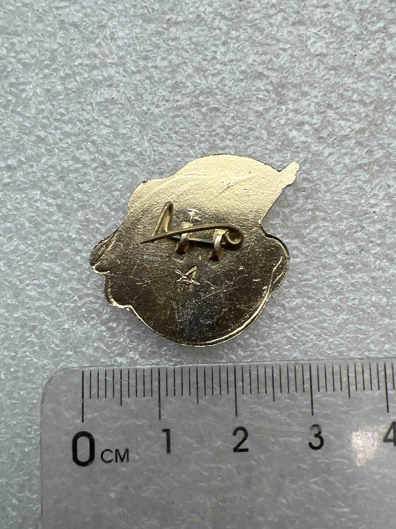 真品像章，纪念章 真品像章、纪念章