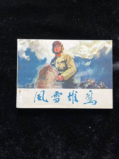 风雪雄鹰 - 风雪雄鹰