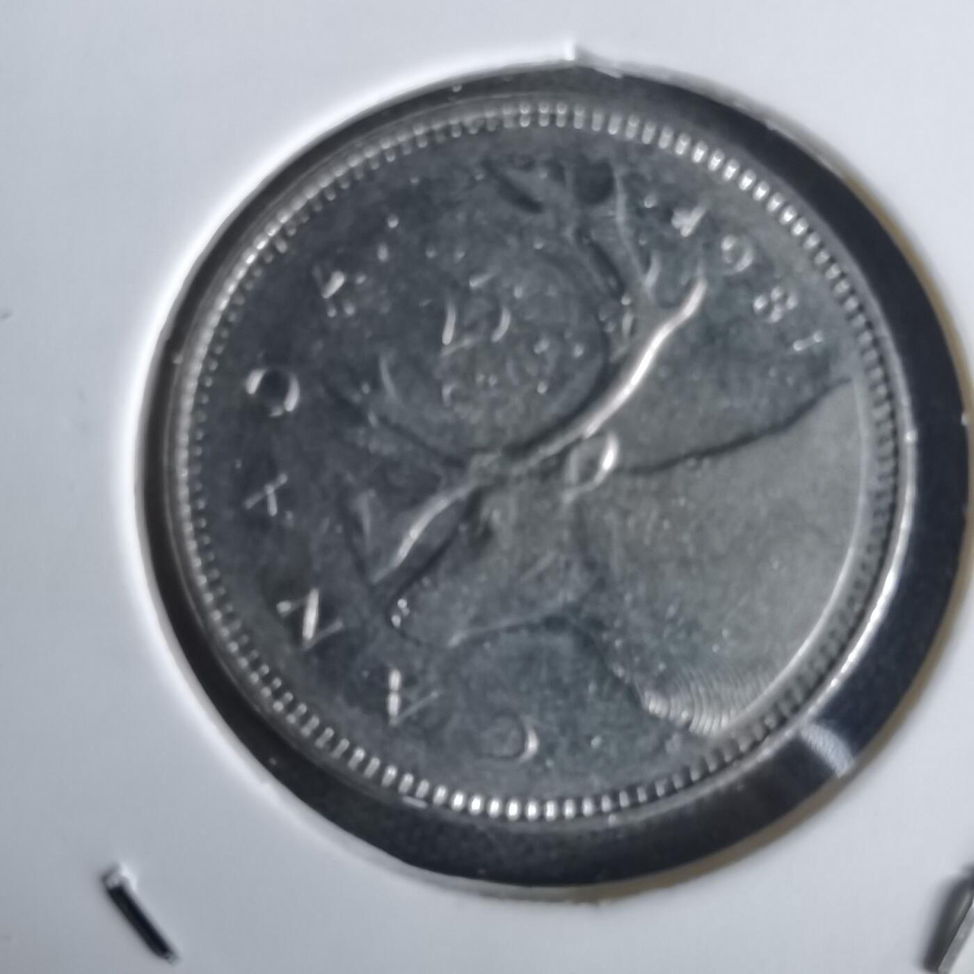 沼泽如烟--第1028场