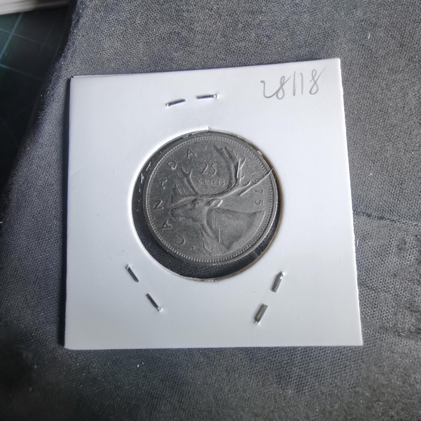 沼泽如烟--第1028场