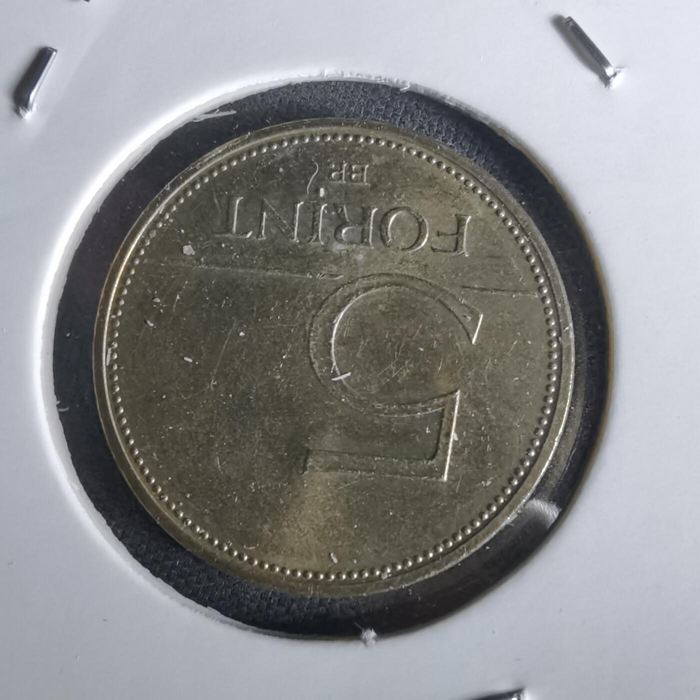 沼泽如烟--第1028场