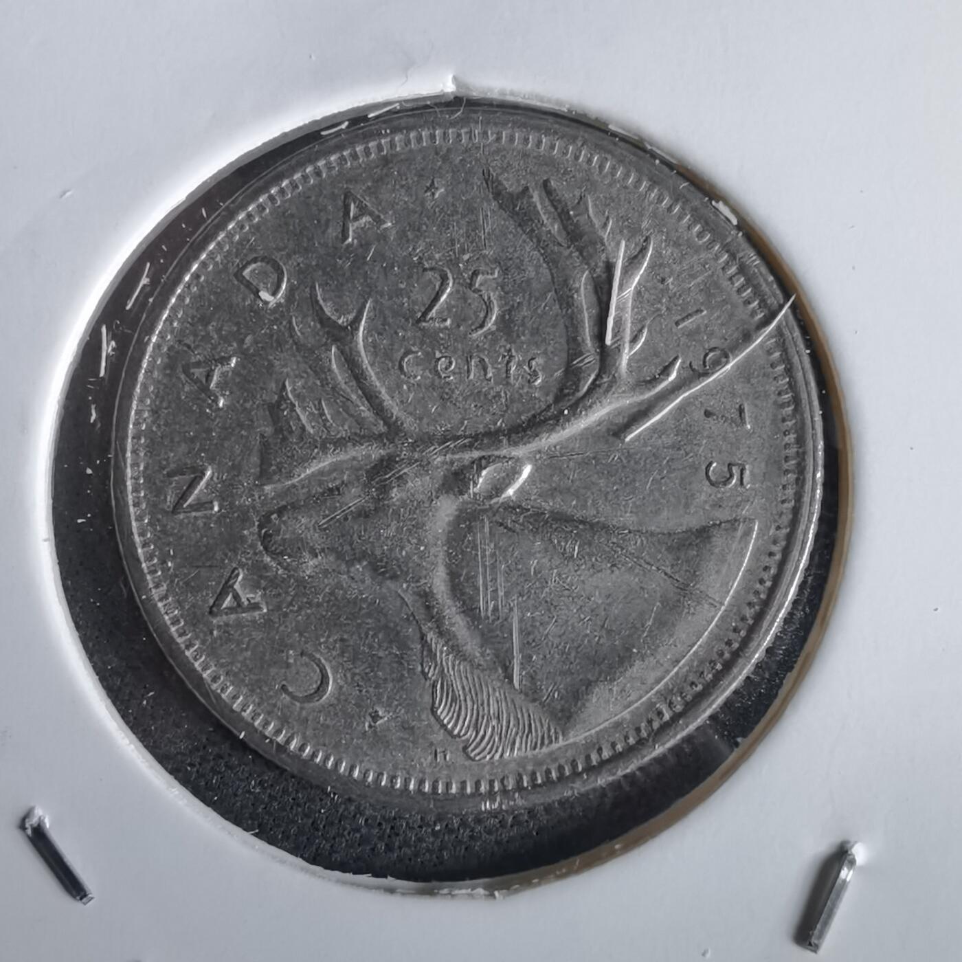 沼泽如烟--第1028场