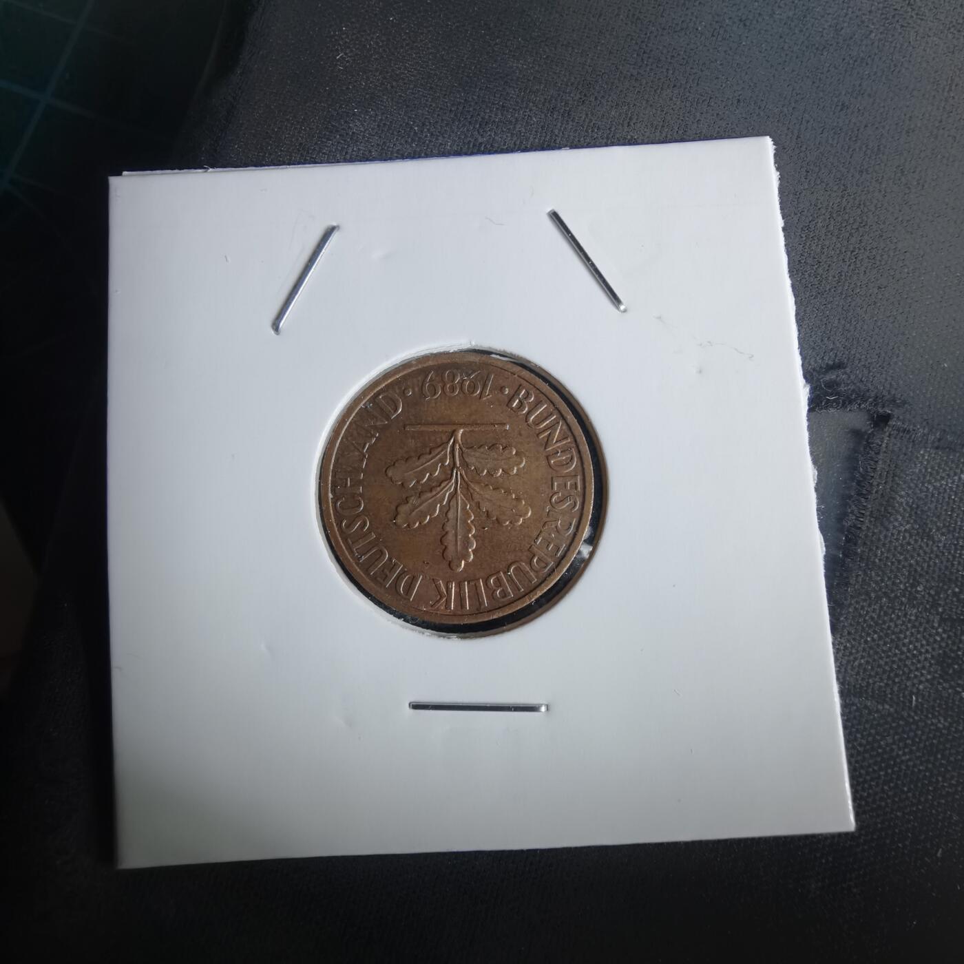 沼泽如烟--第1028场